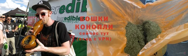стафф Бородино