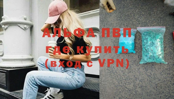 стафф Бородино