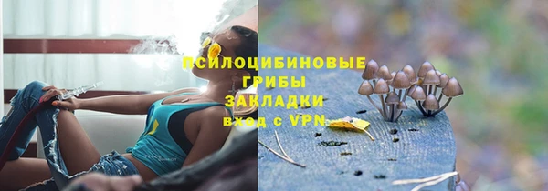 прущие крисы Бронницы