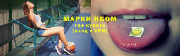 стафф Бородино