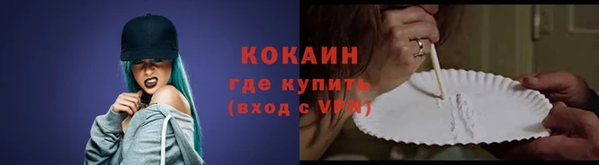 стафф Бородино