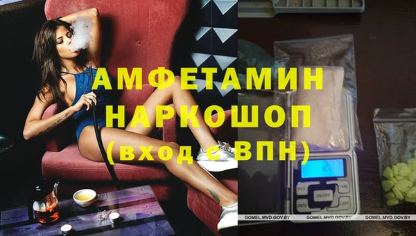 стафф Бородино